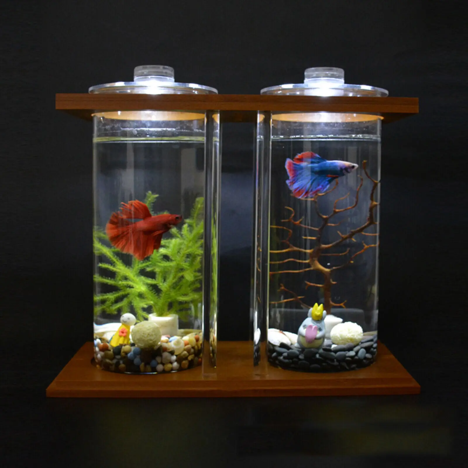Aquarium Fish Jar - Glass Betta Fish Tank with LED