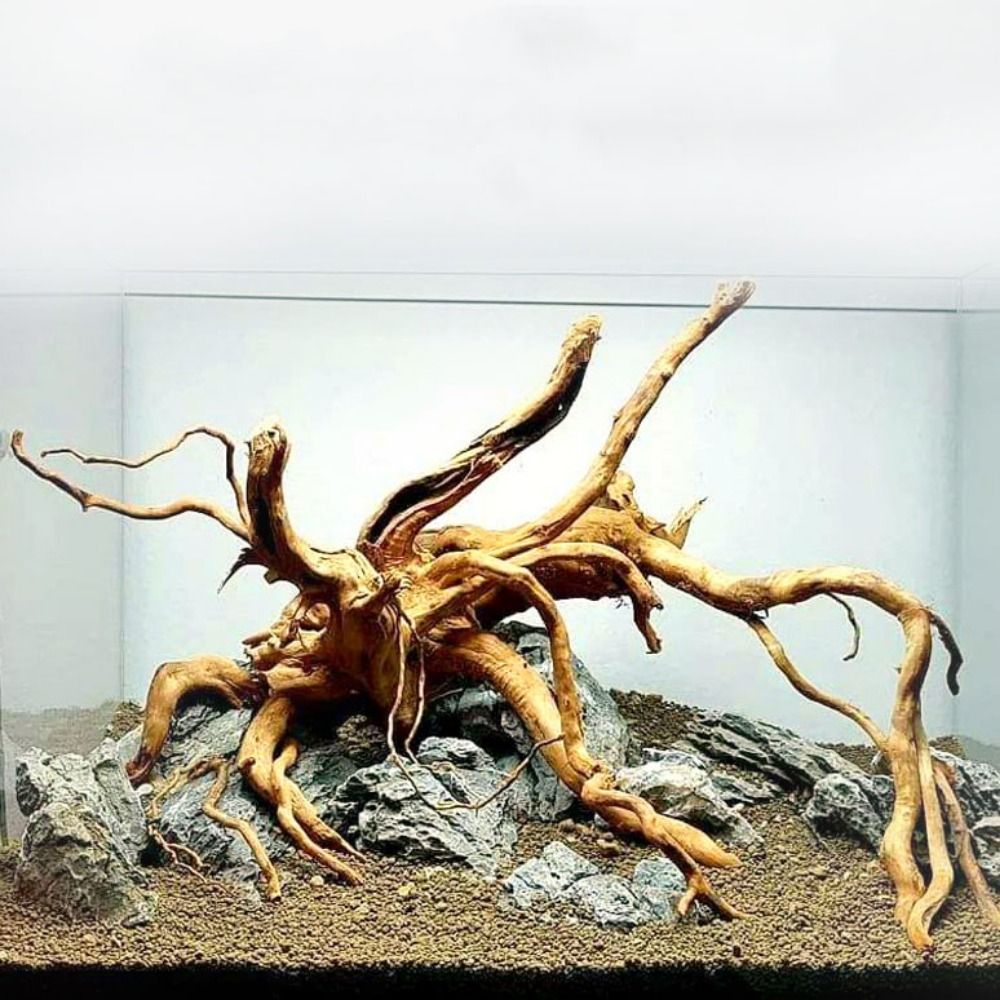 Aquarium Fish Jar - 20-25CM Large Aquarium Driftwood Natural Fish