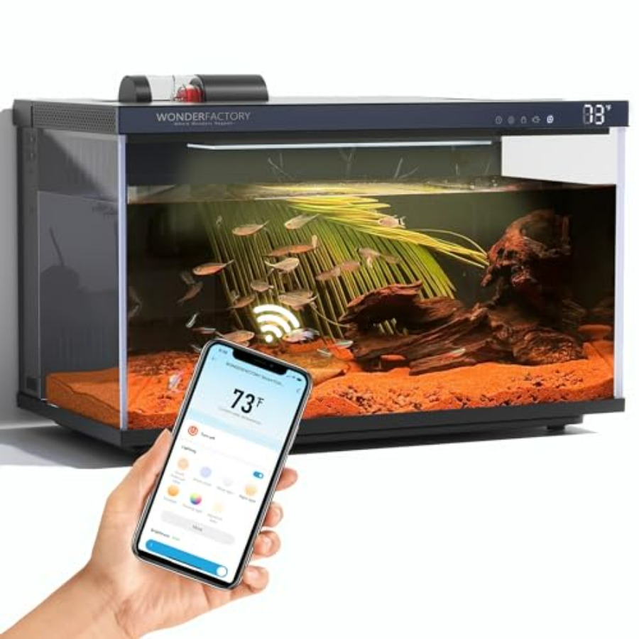 Aquarium Fish Feeder Automatic - Smart Aquarium 5 Gallon Glass Fish