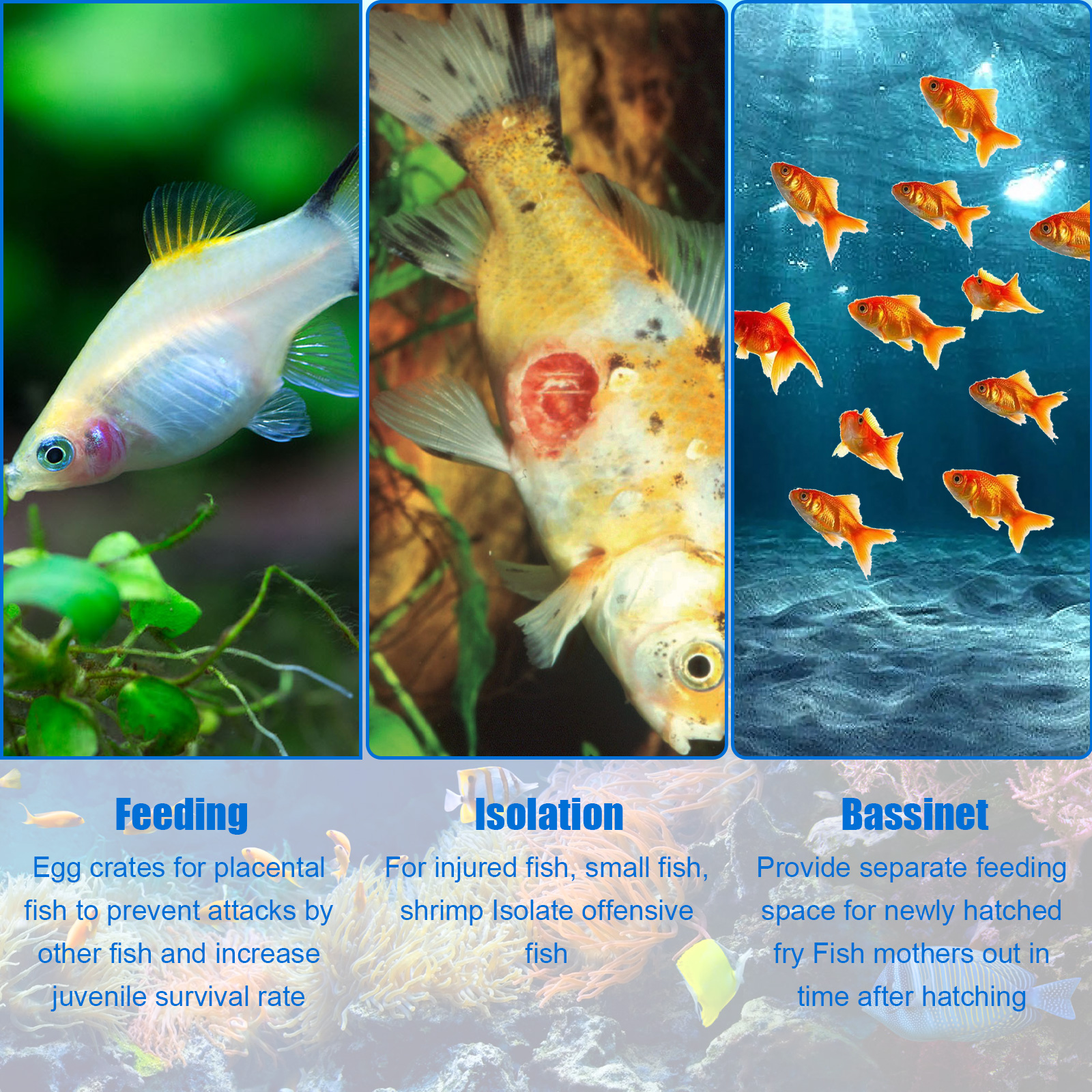 Aquarium Breeder Box Fish Bree - огляд і ціна Aquarium Fish In Bowl