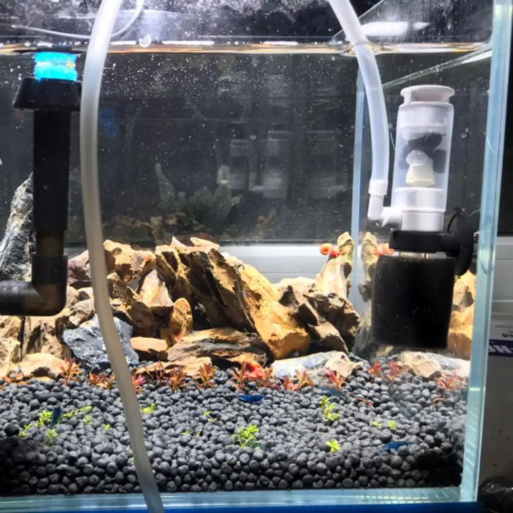 Silent Mini Water Pneumatic Fi - огляд і ціна Aquarium Fish In Bowl