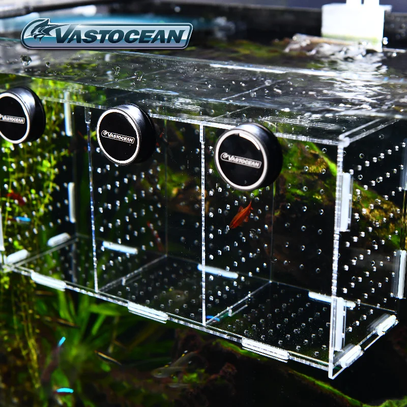 VASTOCEAN Fish Tank Magnetic C - огляд і ціна Aquarium Fish Jar
