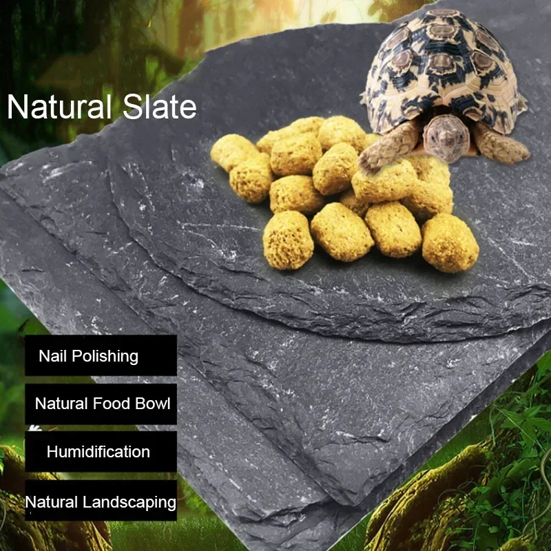 Natural Slate Aquarium Pet Rep - огляд і ціна Aquarium Fish Jar