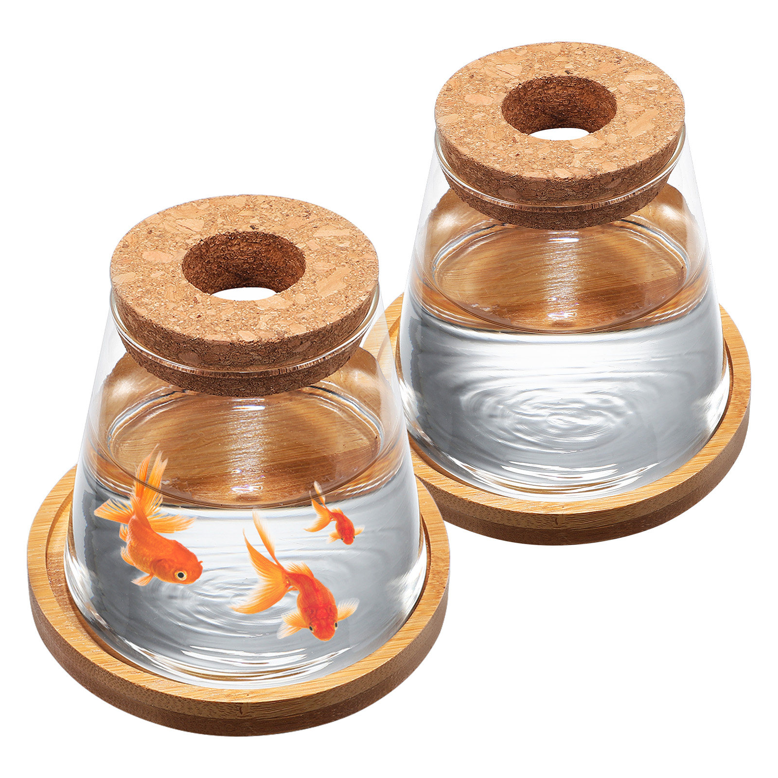 2Pcs Water Planters Glass Prop - огляд і ціна Aquarium Fish Jar