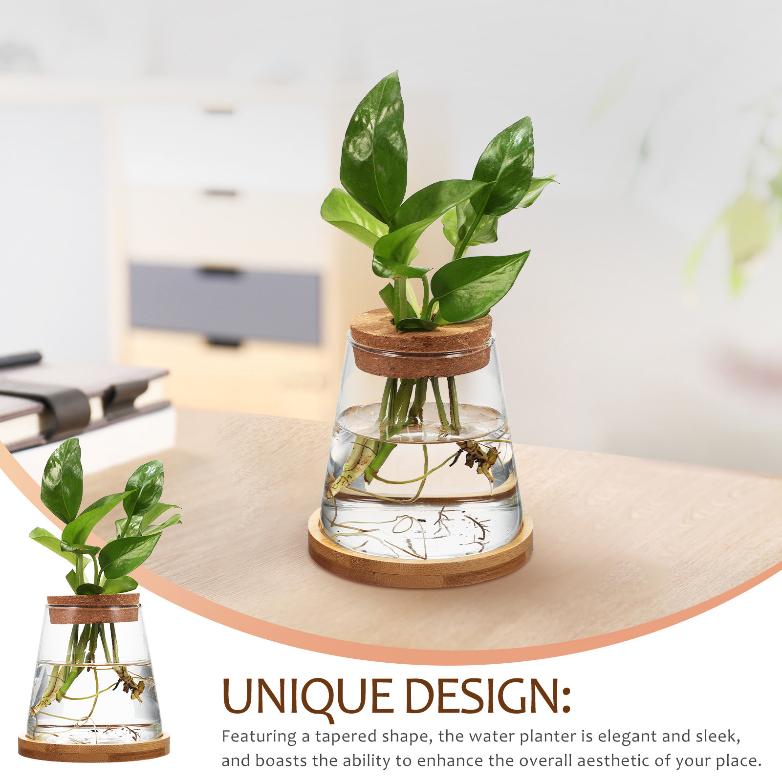 2Pcs Water Planters Glass Prop - огляд і ціна Aquarium Fish Jar