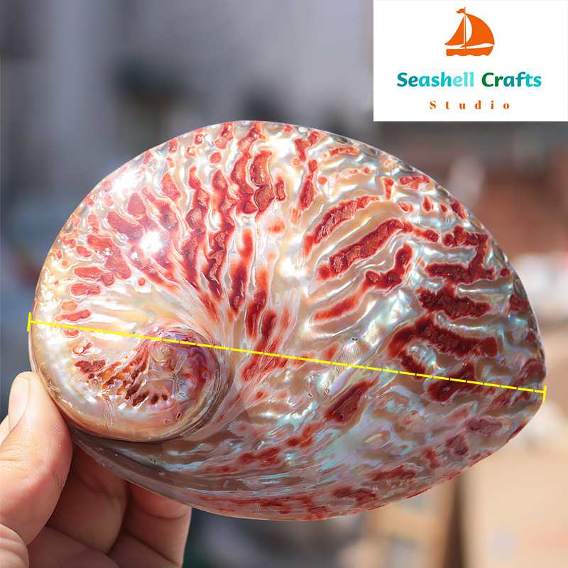 Home Decoration Red Pattern Ab - огляд і ціна Aquarium Fish Names