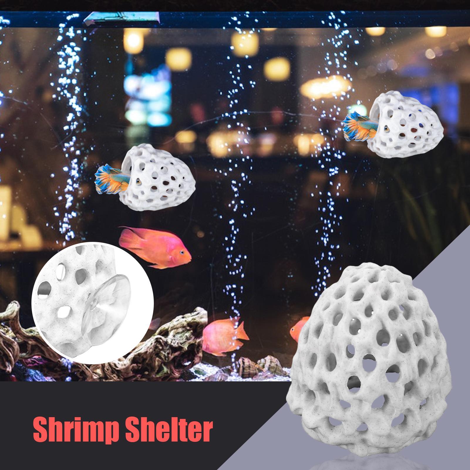 Small Aquarium shrimp house Ca - огляд і ціна Aquarium Fish In Bowl