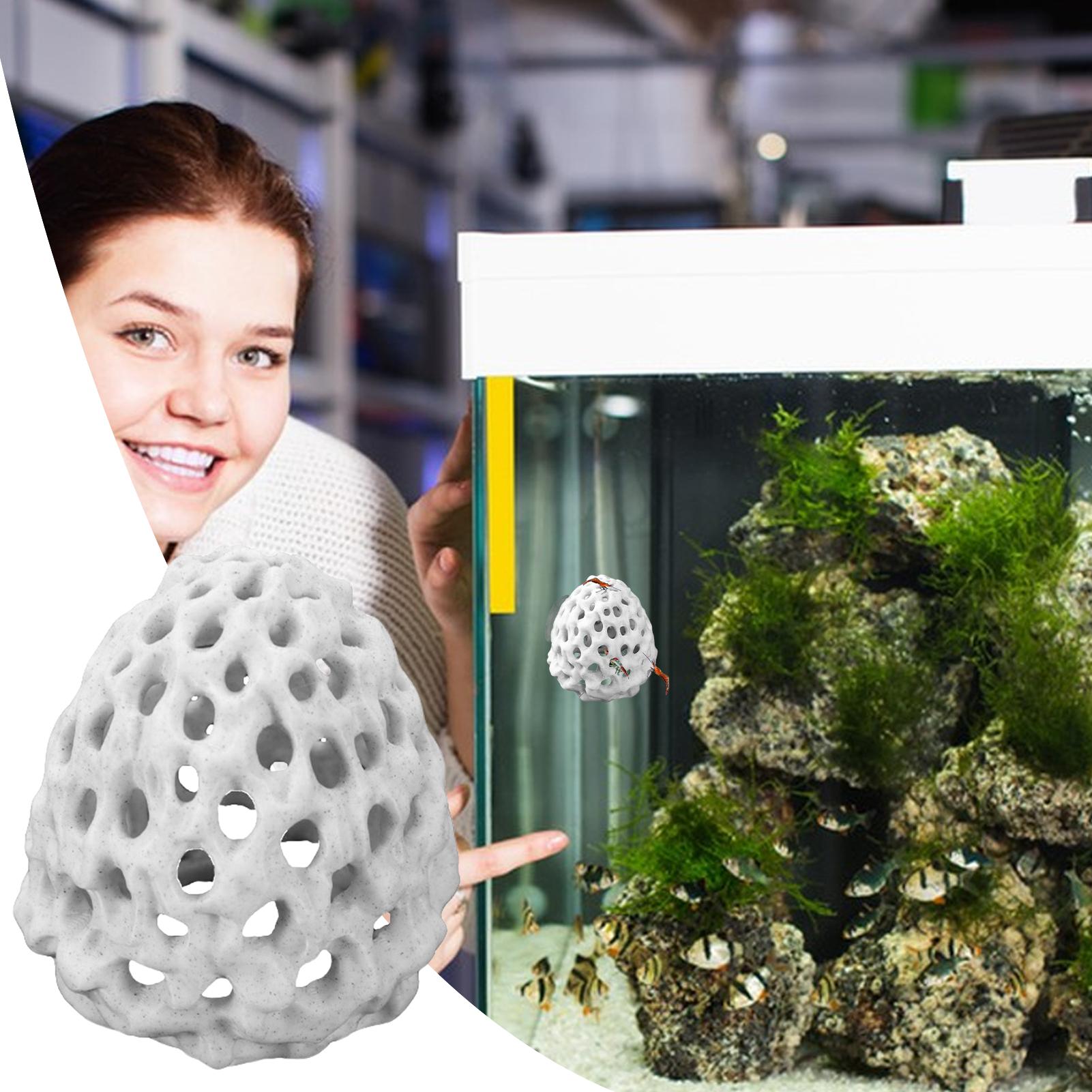 Small Aquarium shrimp house Ca - огляд і ціна Aquarium Fish In Bowl
