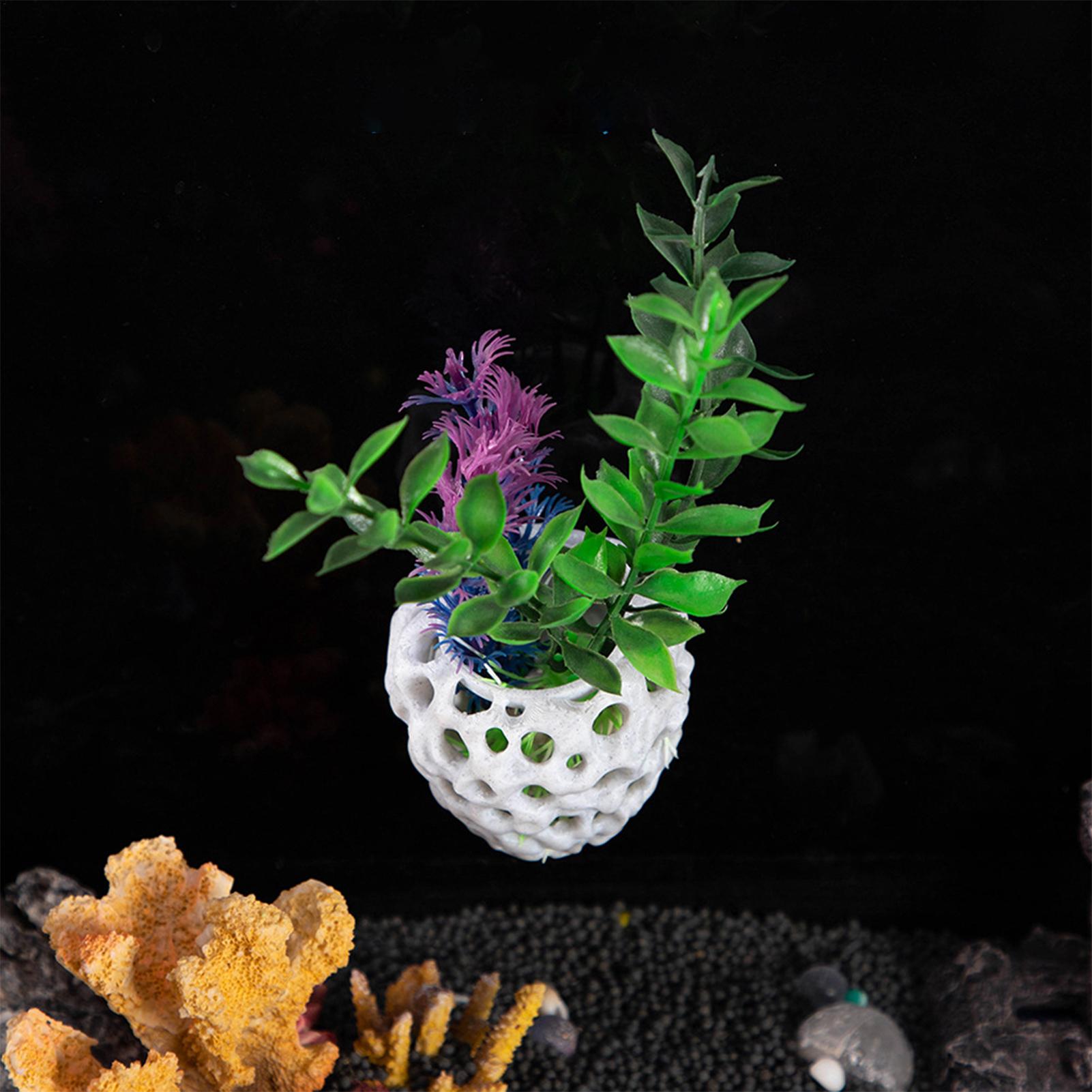 Small Aquarium shrimp house Ca - огляд і ціна Aquarium Fish In Bowl