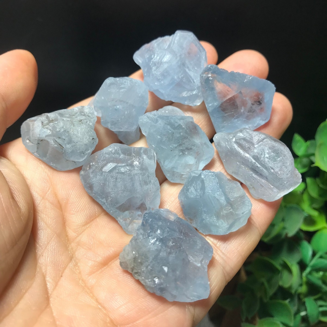 40g/120g/240g Natural Blue Cel - огляд і ціна Aquarium Fish Names