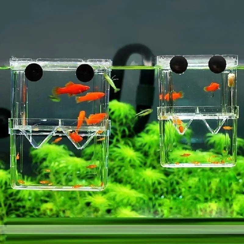 Transparent Fish Aquarium High - огляд і ціна Aquarium Xxl