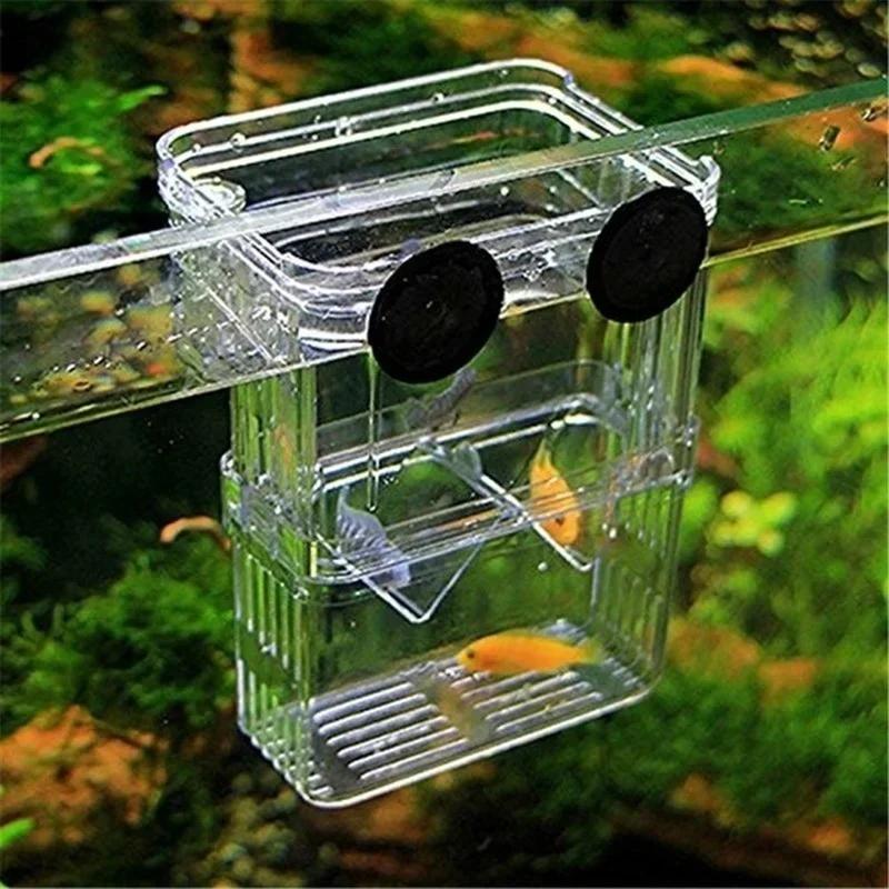 Transparent Fish Aquarium High - огляд і ціна Aquarium Xxl