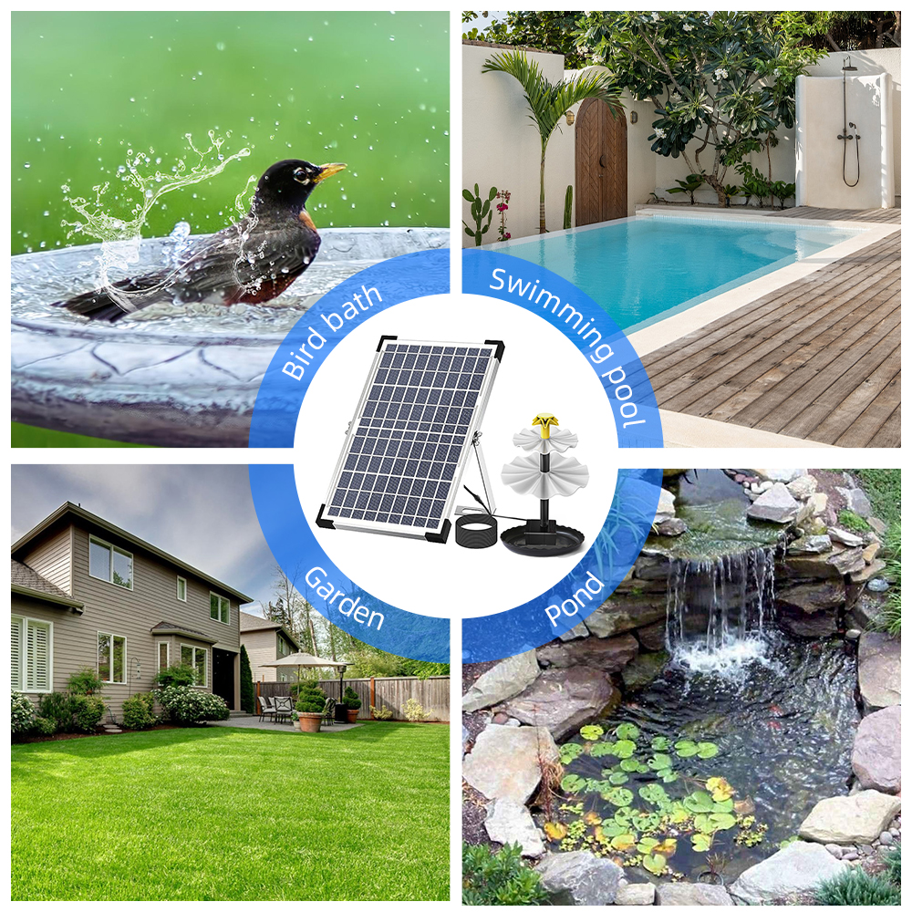 Solar Fountain Pump for Bird B - огляд і ціна Aquarium Fish In Pond