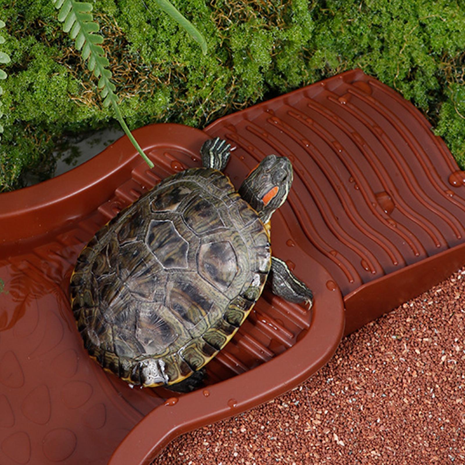 Reptile Bathing Pool Aquarium  - огляд і ціна Aquarium Fish In Bowl