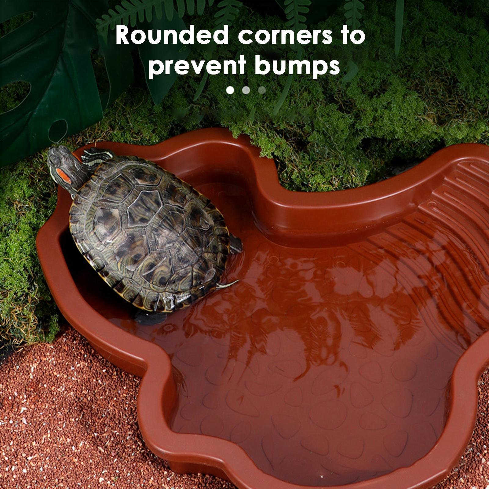 Reptile Bathing Pool Aquarium  - огляд і ціна Aquarium Fish In Bowl