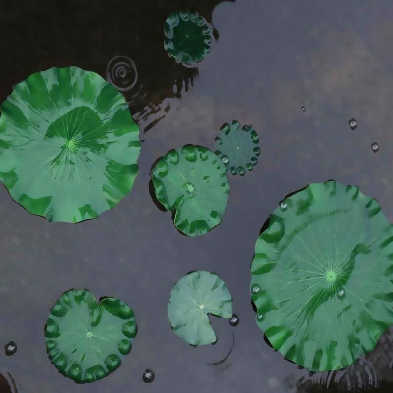 2026 Artificial Water Lily Lot - огляд і ціна Aquarium Fish In Pond