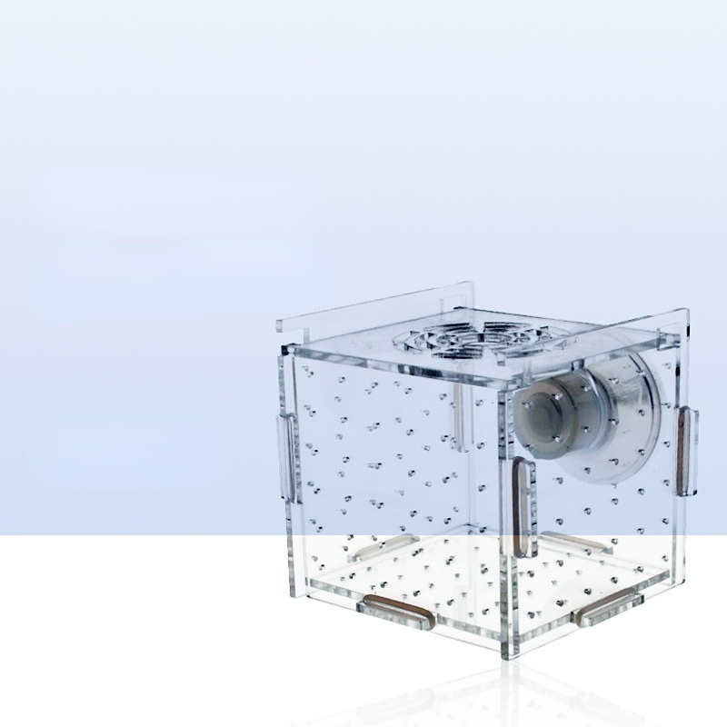 Acrylic Isolation Box Fish Tan - огляд і ціна Aquarium Fish Net Small