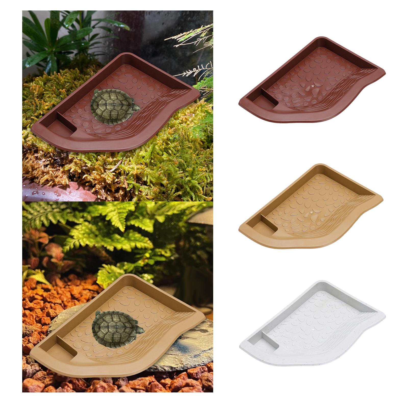 Reptile Pool Water Dish, Torto - огляд і ціна Aquarium Fish In Bowl