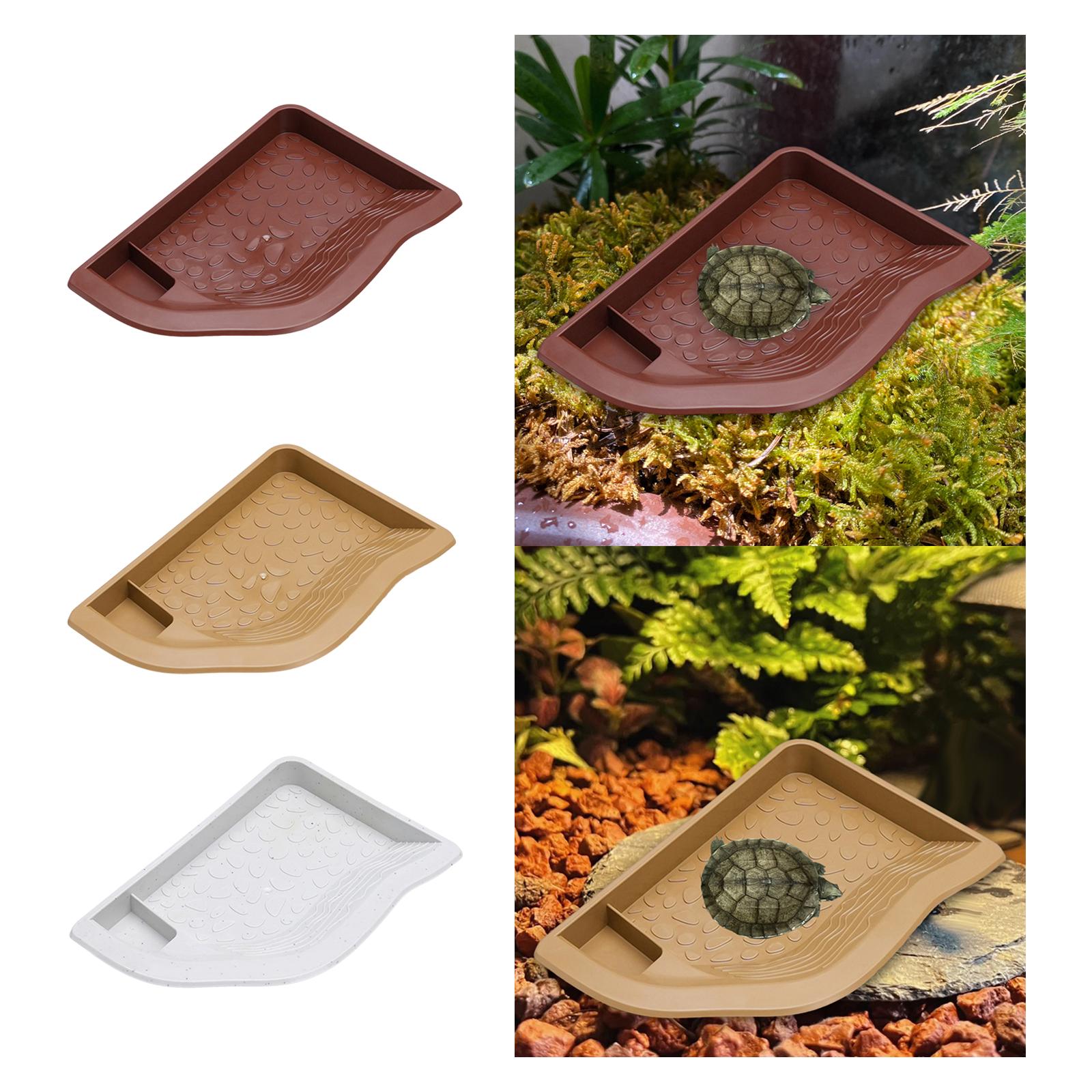 Reptile Pool Water Dish, Torto - огляд і ціна Aquarium Fish In Bowl
