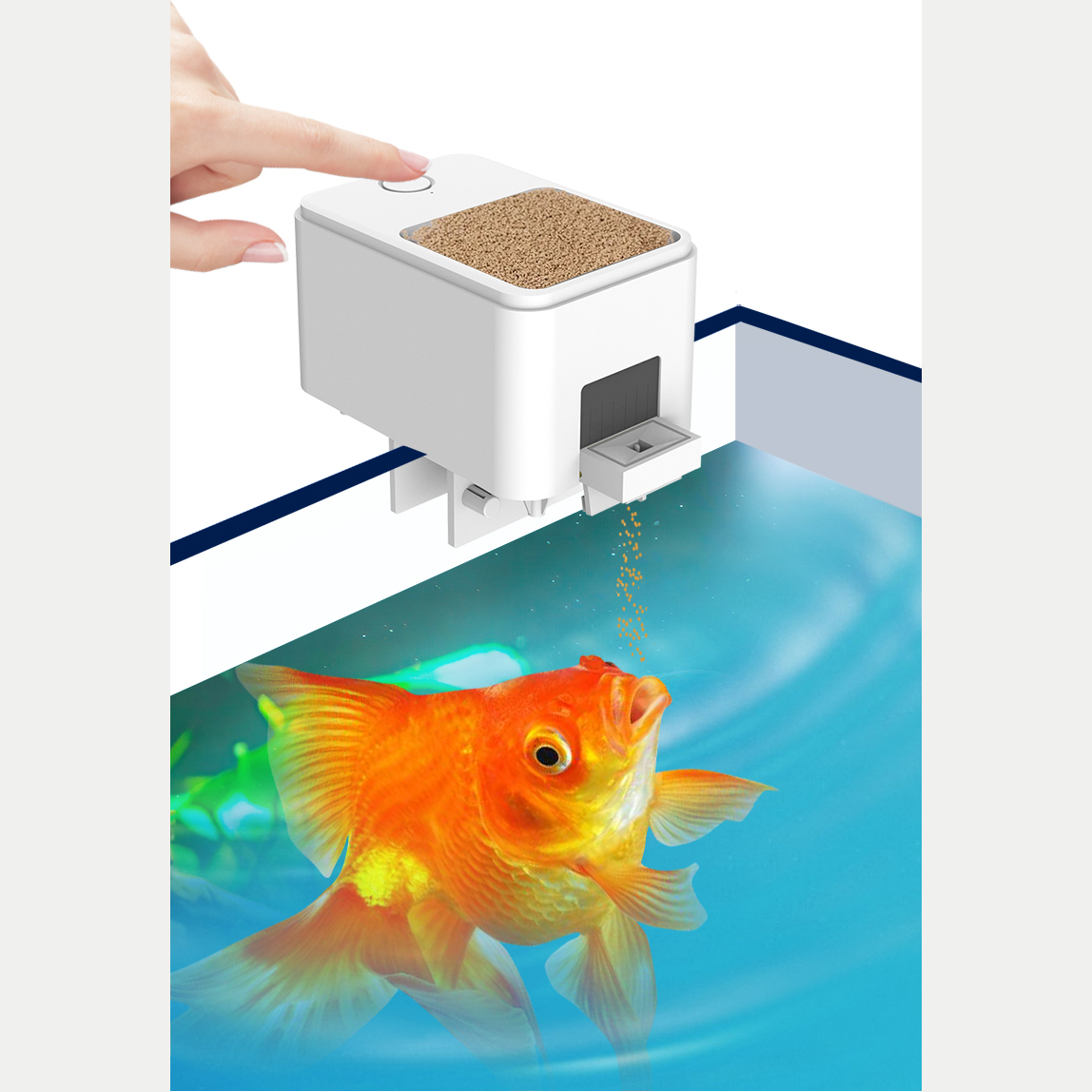 1PC WIFI/Button Version automa - огляд і ціна Aquarium Fish Feeder Automatic