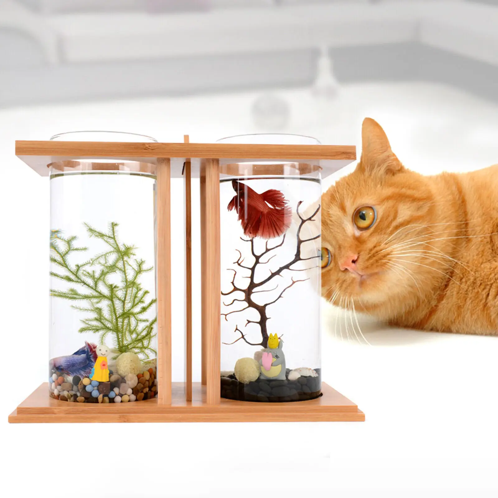 Glass Betta Fish Tank with LED - огляд і ціна Aquarium Fish Jar