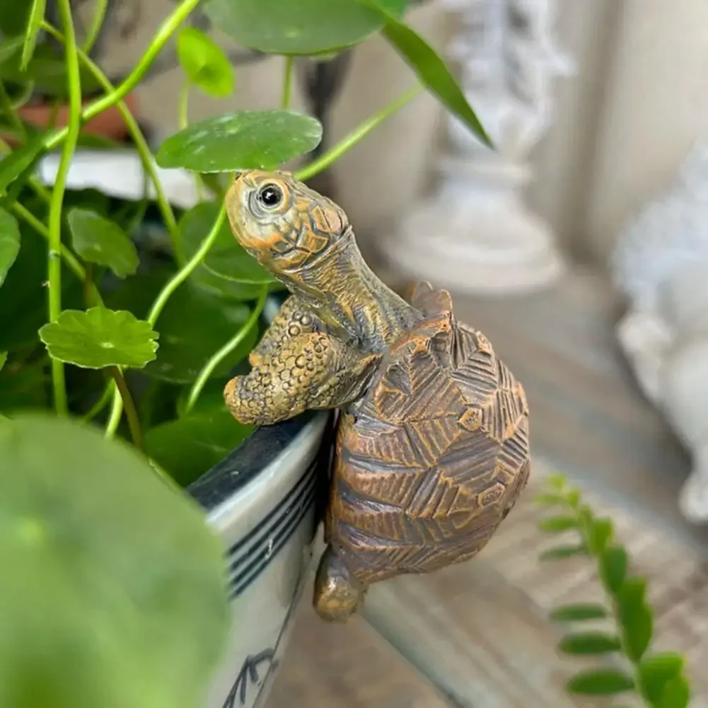 Fishing Turtle Hanging Turtle  - огляд і ціна Aquarium Fish In Pond