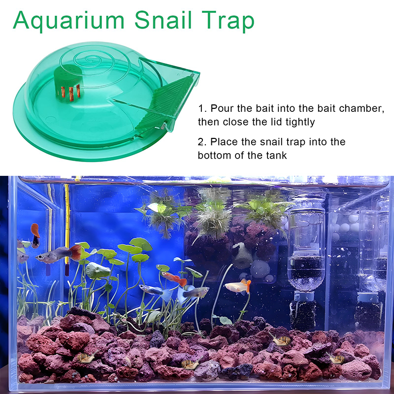 Aquarium Snail Trap, Plastic S - огляд і ціна Aquarium Fish Jar