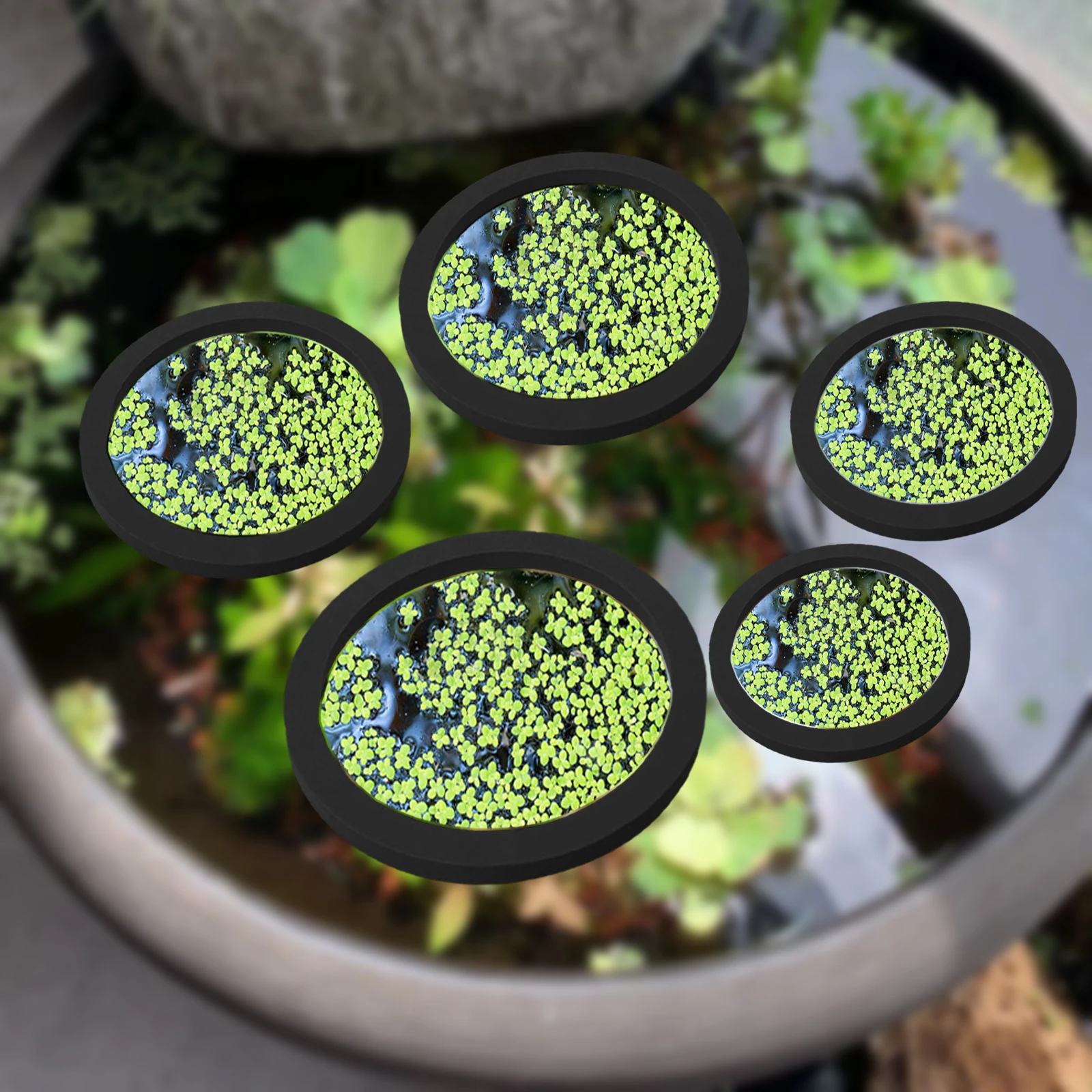5Pcs EVA Fish Feeding Ring Aqu - огляд і ціна Aquarium Fish In Pond