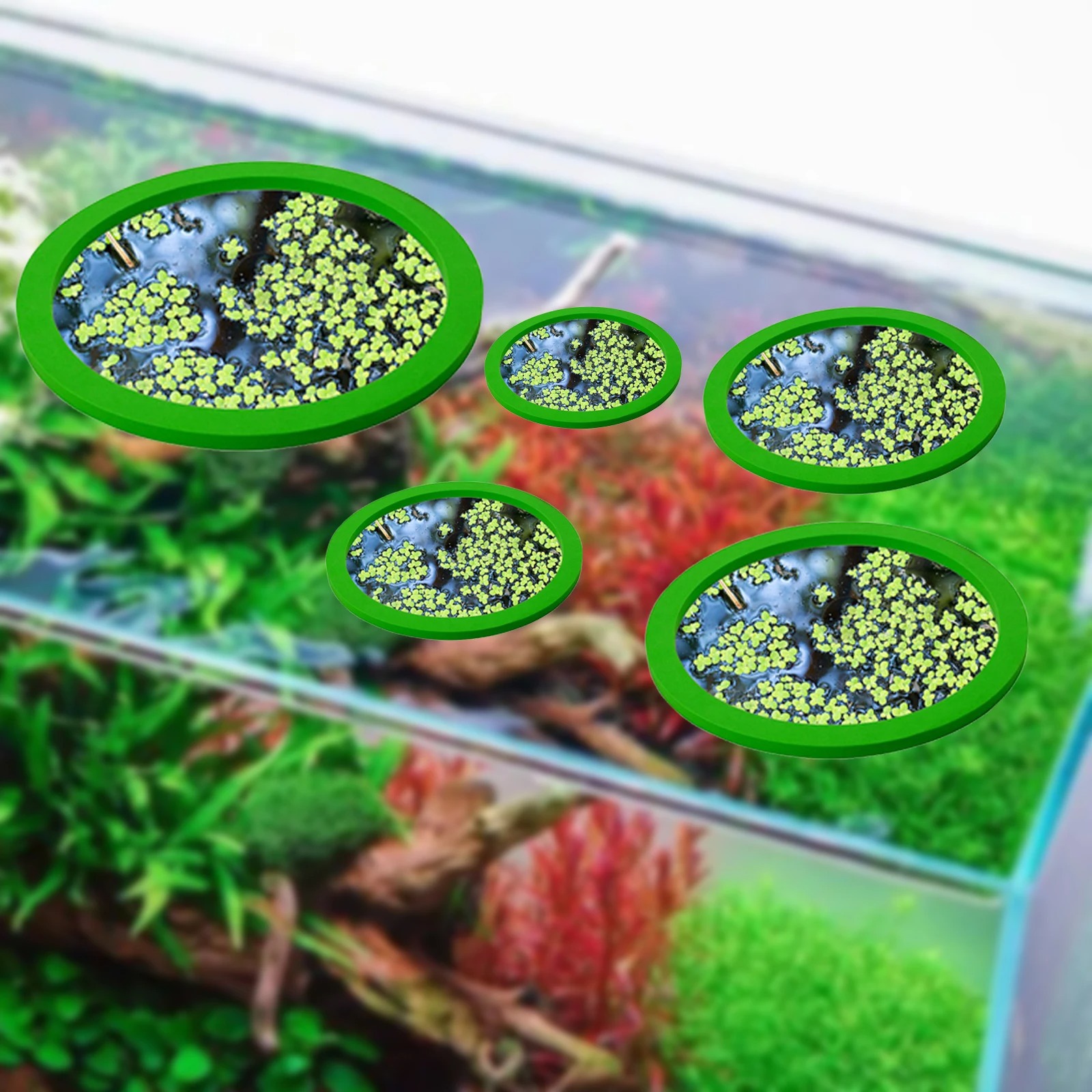 5Pcs EVA Fish Feeding Ring Aqu - огляд і ціна Aquarium Fish In Pond