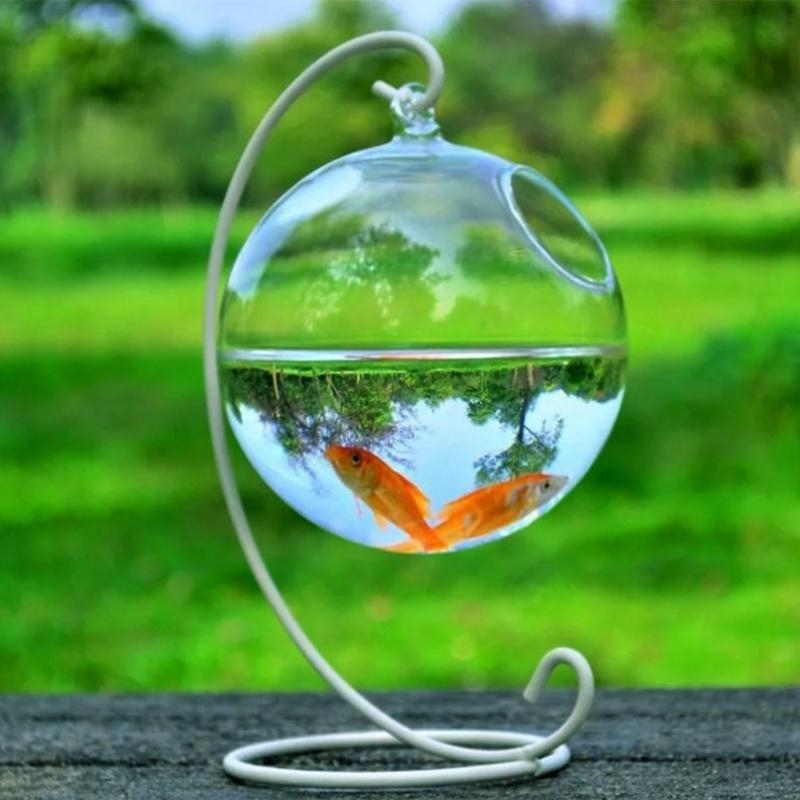 Transparent Spherical Glass Ha - огляд і ціна Aquarium Fish In Bowl