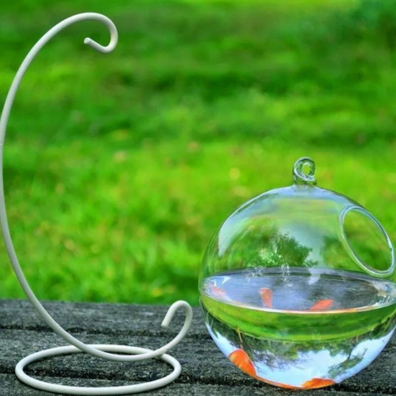 Transparent Spherical Glass Ha - огляд і ціна Aquarium Fish In Bowl