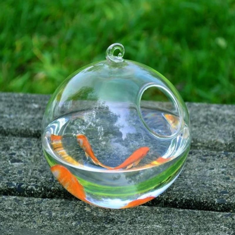 Transparent Spherical Glass Ha - огляд і ціна Aquarium Fish In Bowl