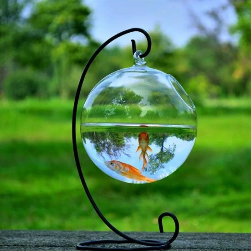 Transparent Spherical Glass Ha - огляд і ціна Aquarium Fish In Bowl