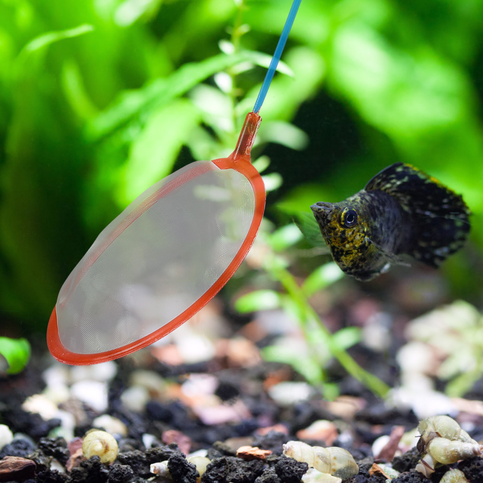 10Pcs Small Fishing Nets Porta - огляд і ціна Aquarium Fish Net Small