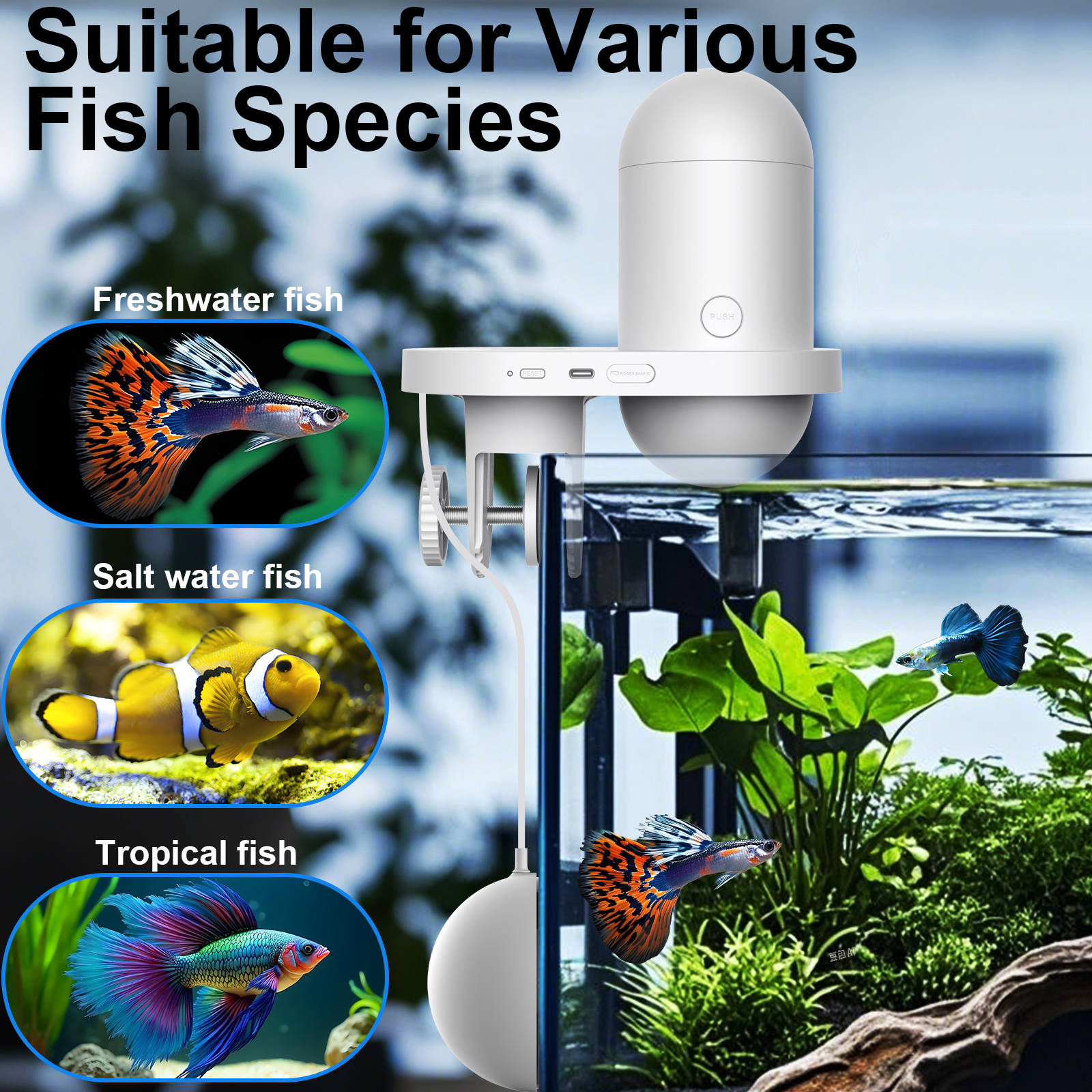 Automatic Fish Feeder With Cam - огляд і ціна Aquarium Fish Feeder Automatic