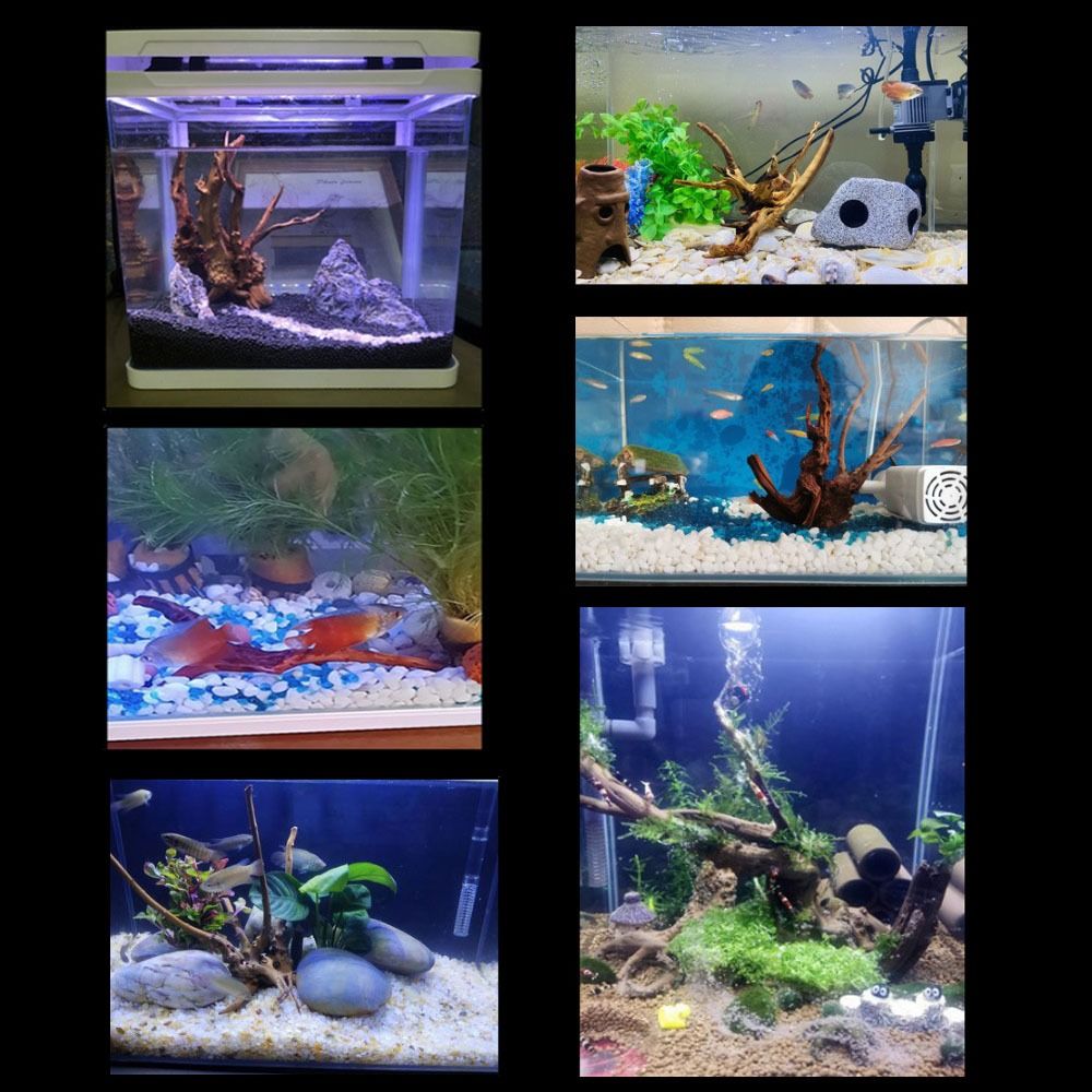 20-25CM Large Aquarium Driftwo - огляд і ціна Aquarium Fish Jar
