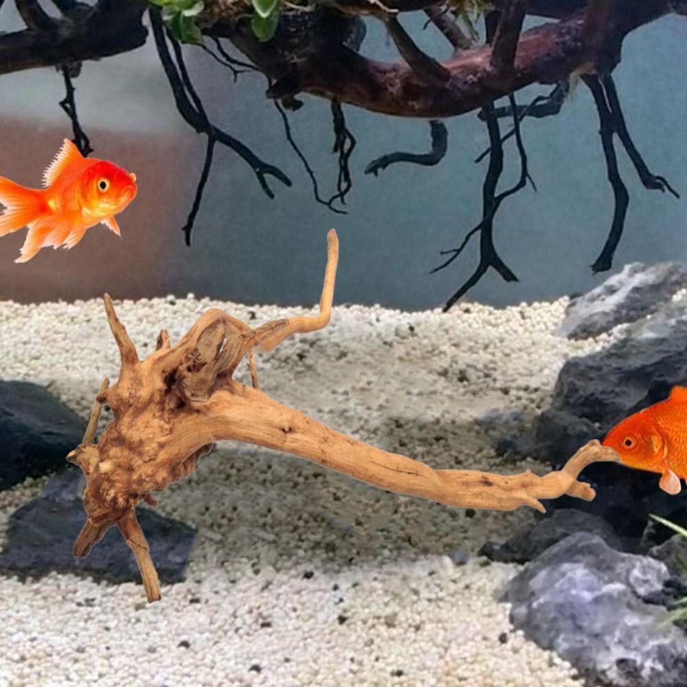 20-25CM Large Aquarium Driftwo - огляд і ціна Aquarium Fish Jar