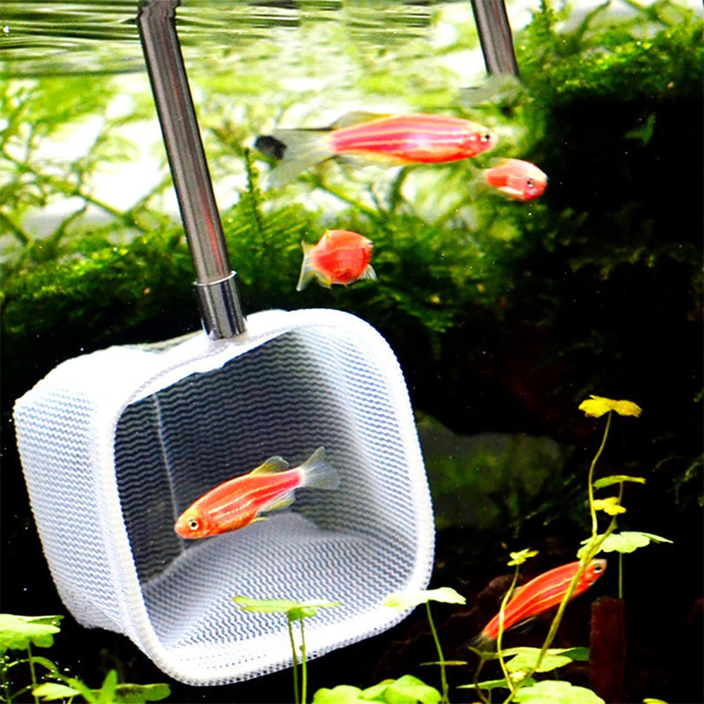Stainless Steel Handle Extenda - огляд і ціна Aquarium Fish Green