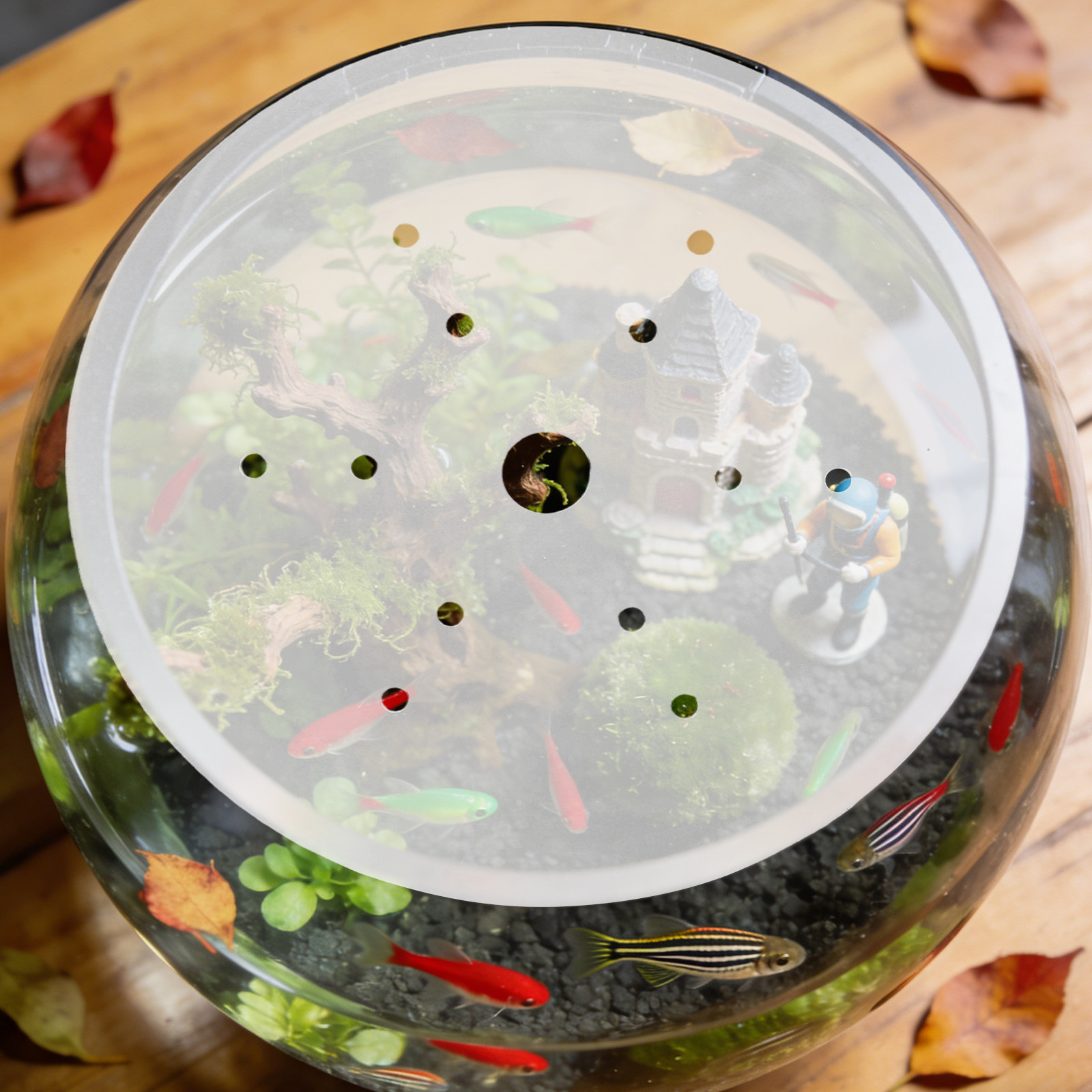 19Cm Clear Acrylic Round Fish  - огляд і ціна Aquarium Fish In Bowl