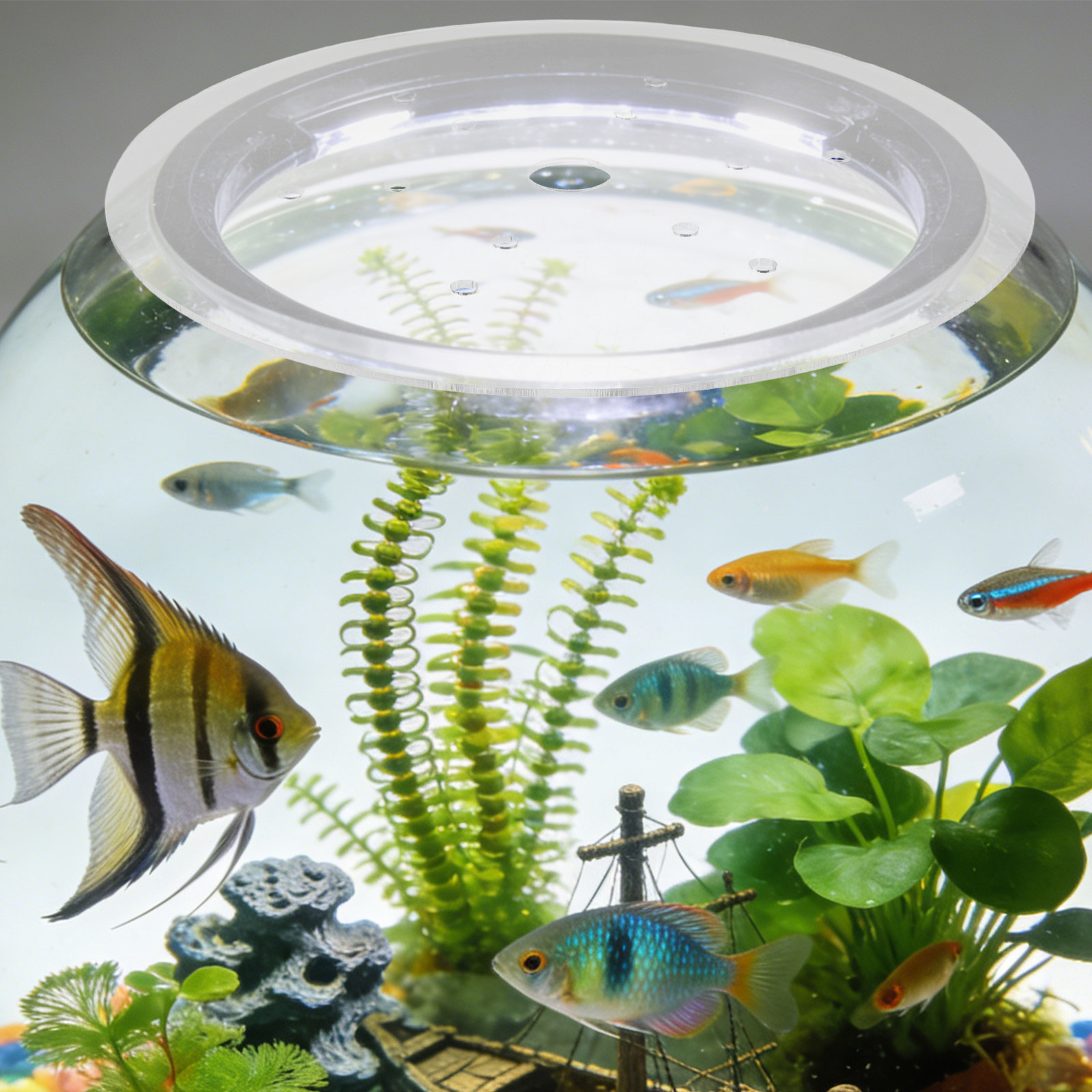 19Cm Clear Acrylic Round Fish  - огляд і ціна Aquarium Fish In Bowl