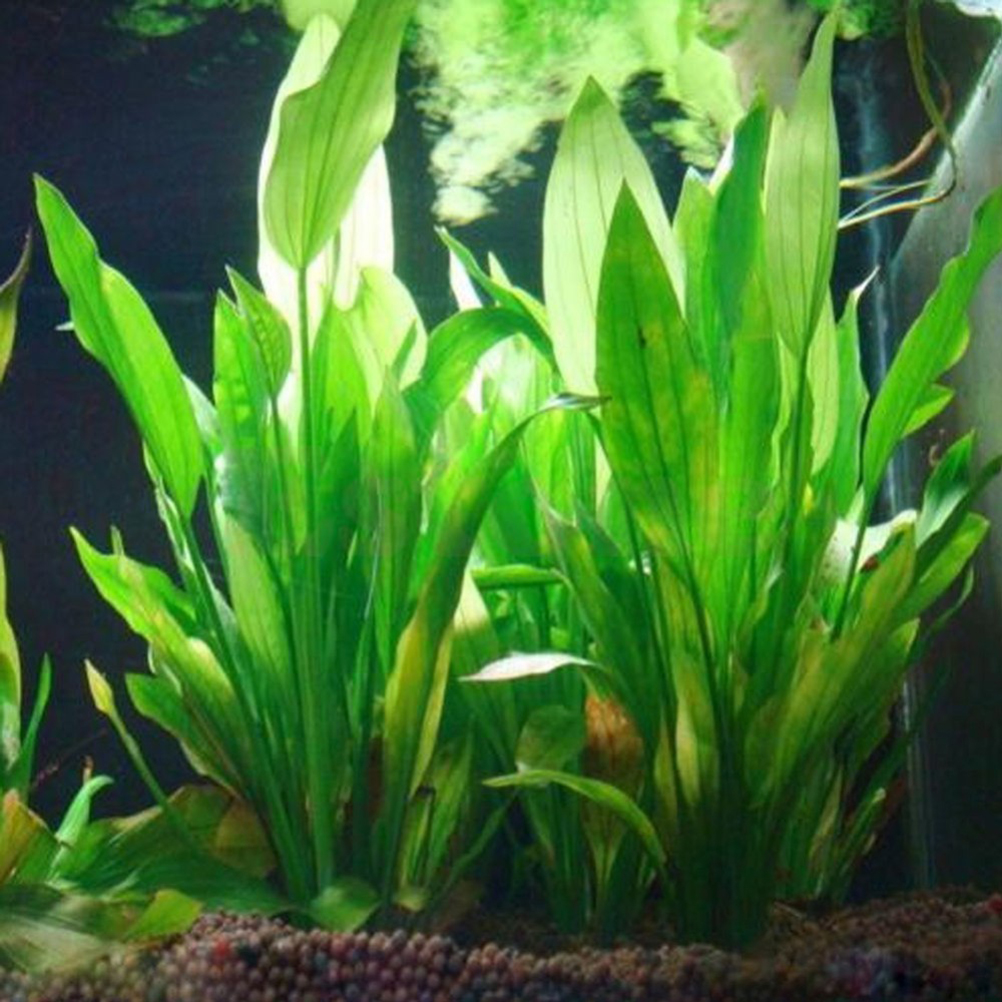 15CM/10CM Underwater Artificia - огляд і ціна Aquarium Fish Green