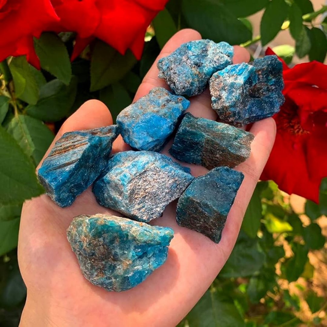 40g/120g/240g Natural Blue Apa - огляд і ціна Aquarium Fish Names