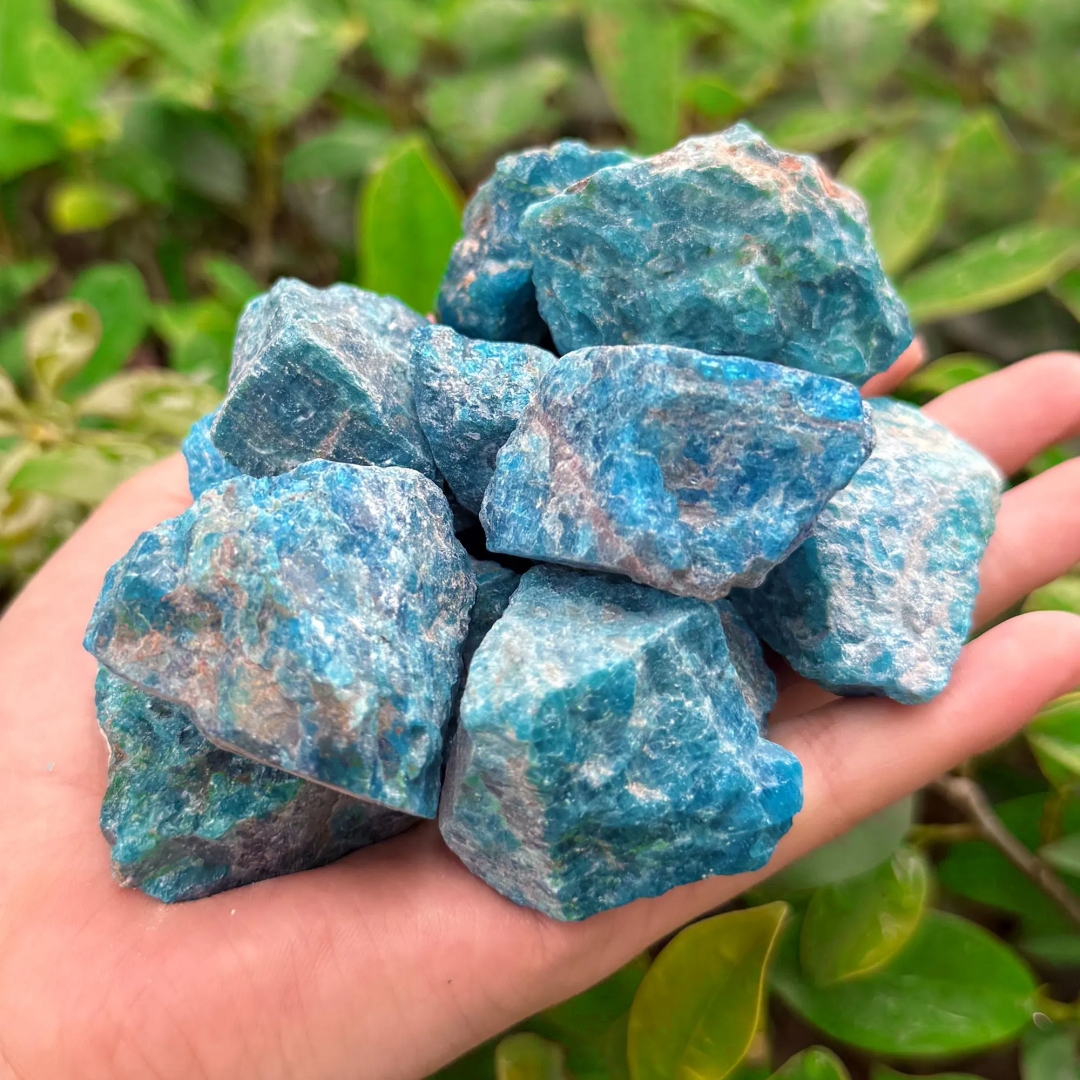 40g/120g/240g Natural Blue Apa - огляд і ціна Aquarium Fish Names