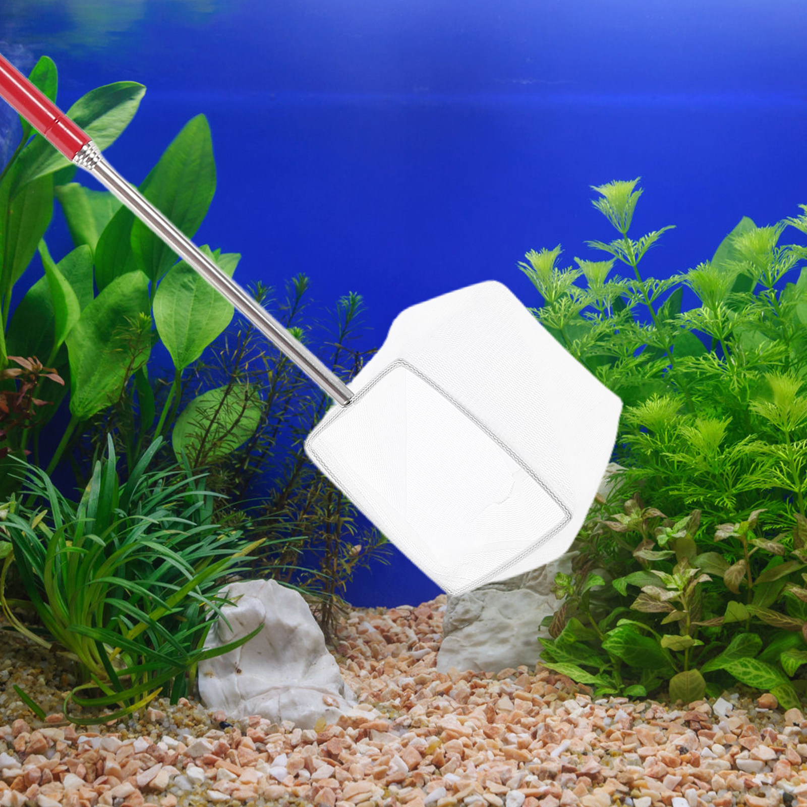 Telescopic Small Shrimp Net Ex - огляд і ціна Aquarium Fish Net Small