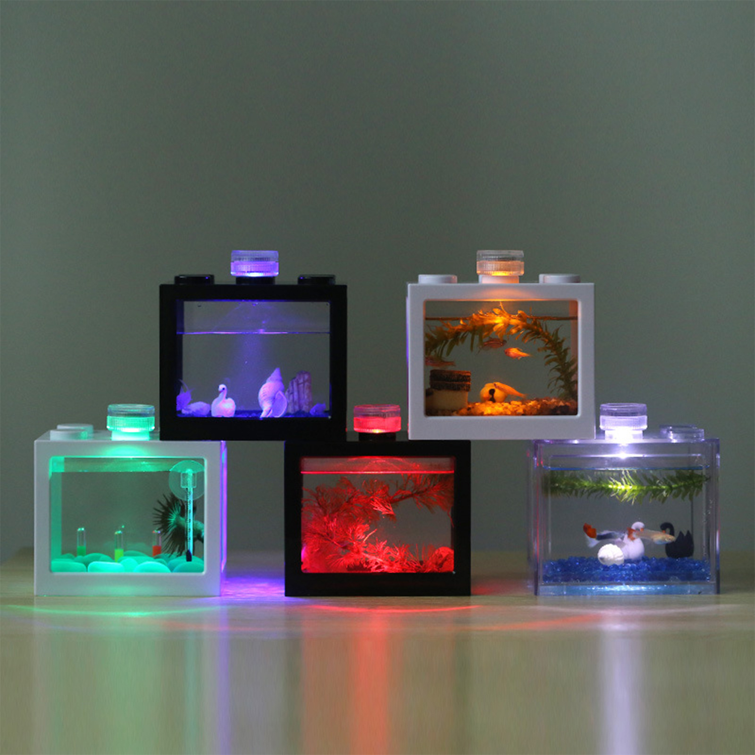 Plastic Betta Fish Tank  Aquar - огляд і ціна Aquarium Fish Jar