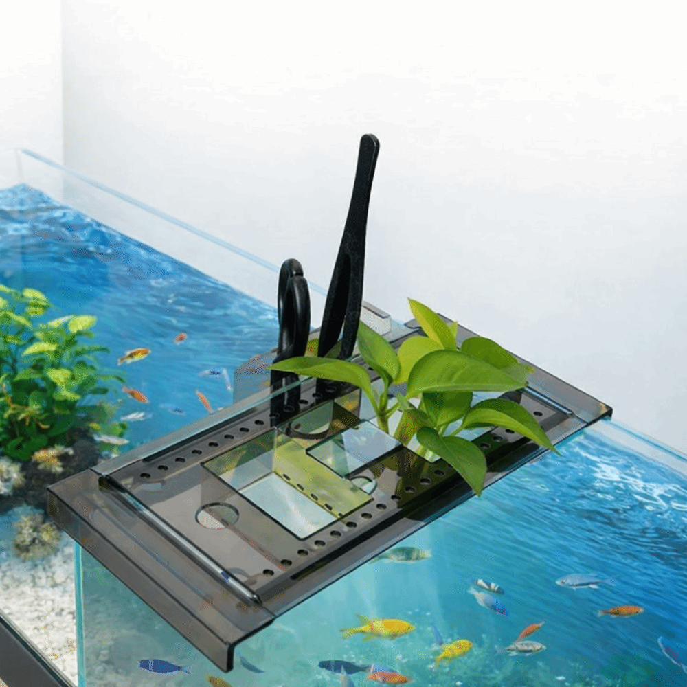 Green Plant Tray Adjustable Fi - огляд і ціна Aquarium Fish Green