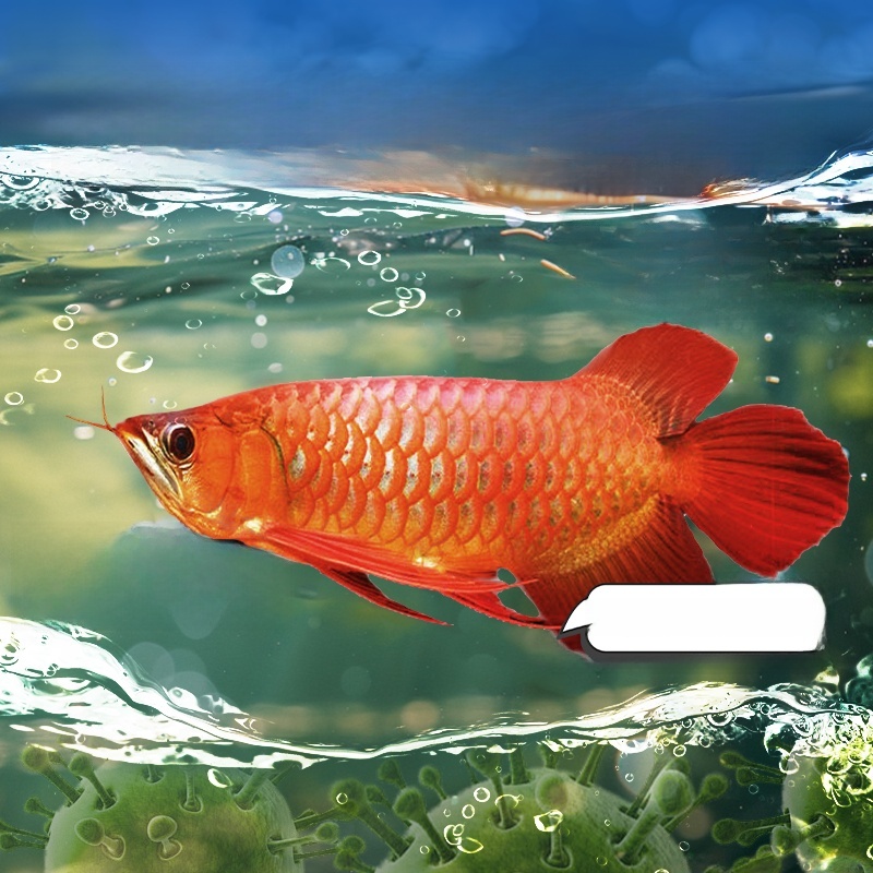 Advanced Water Purification Ta - огляд і ціна Aquarium Fish Green