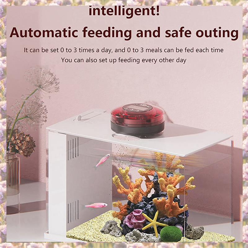 New Automatic Meal Fish Feeder - огляд і ціна Aquarium Fish Feeder Automatic