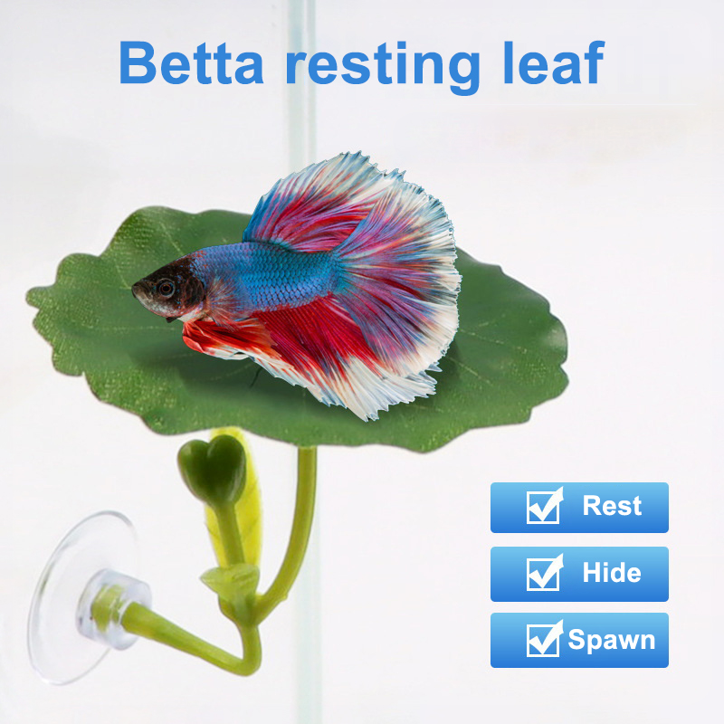1 Pc For Betta Fish Stress-Red - огляд і ціна Aquarium Fish Green