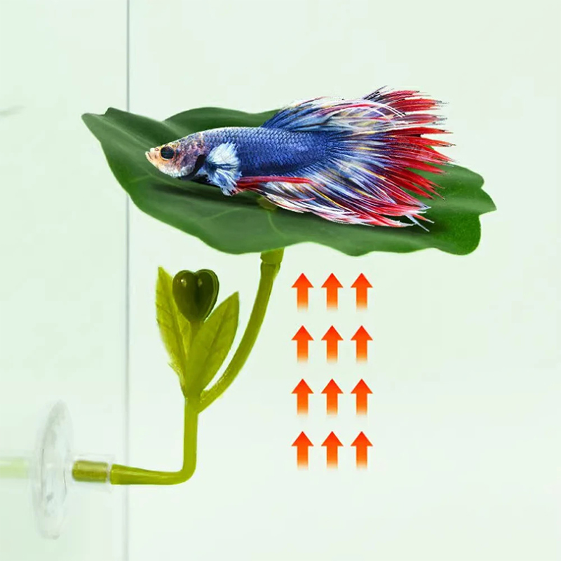 1 Pc For Betta Fish Stress-Red - огляд і ціна Aquarium Fish Green